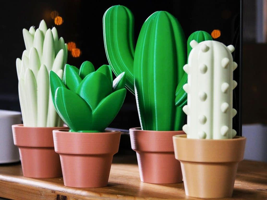 3D Printed Cactus Plant