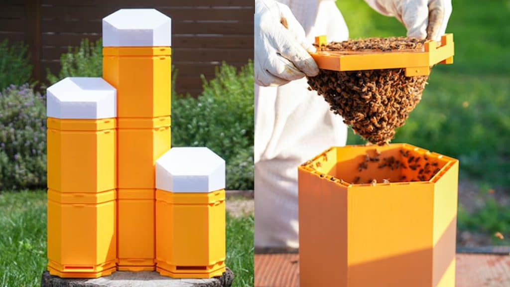 Hex Hives: World's First Fully 3D Printed Beehive | KA3DP