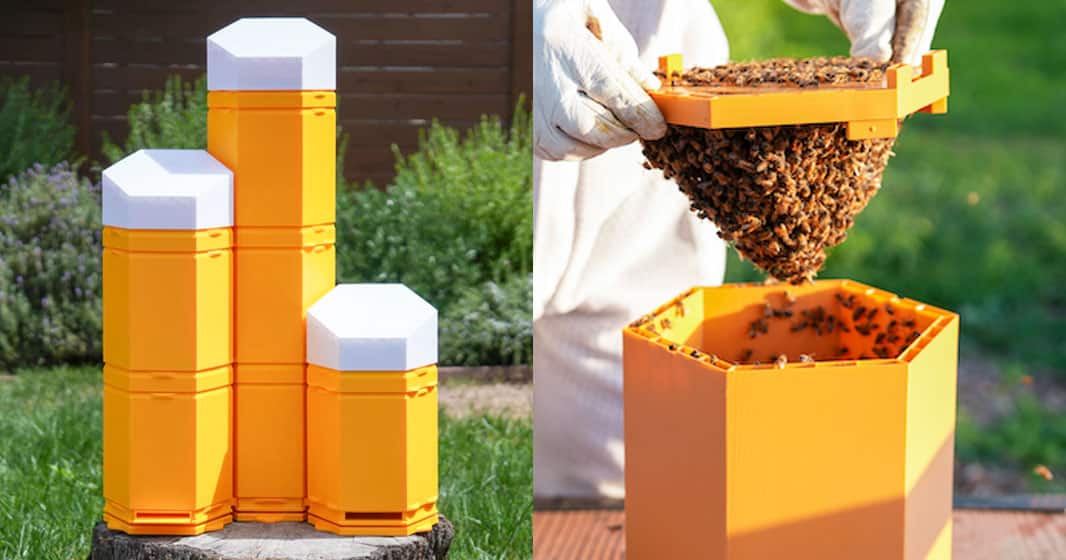 Hex Hives: World's First Fully 3D Printed Beehive | KA3DP