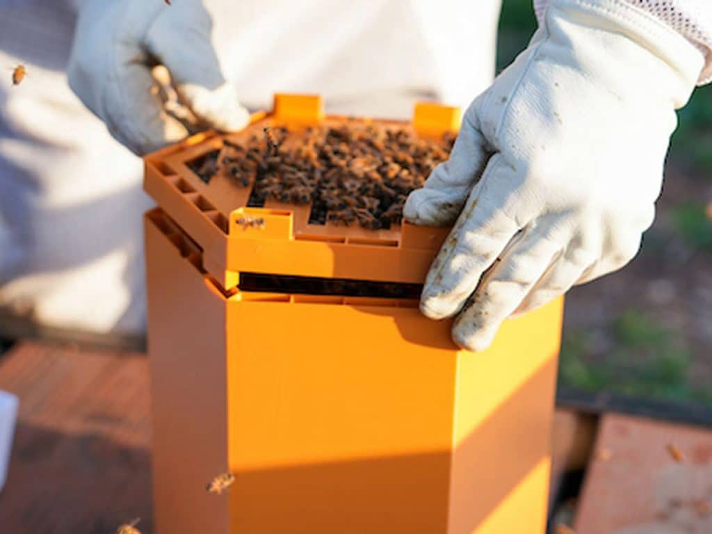 diy bee box 3d printed