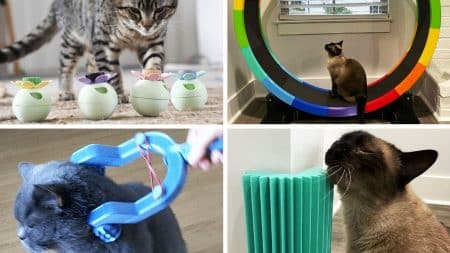 3D Printed Cat Toys best stl files and 3d models