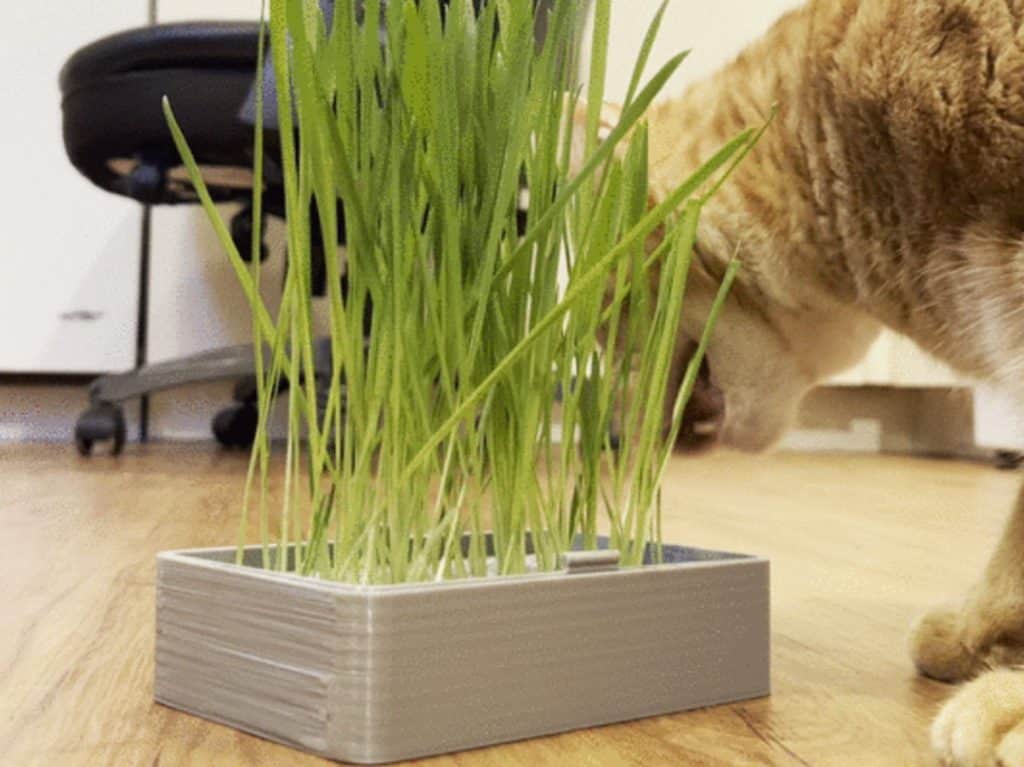 3d print Cat Grass Planter