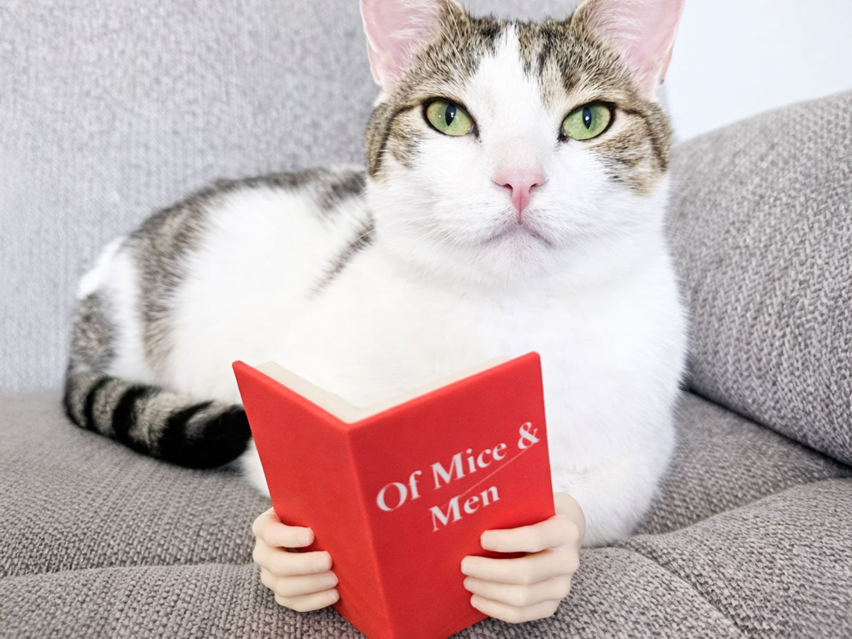 20 Fun 3D Printed Cat Toys Your Pet Will Love in 2026 4 reading cat hands stl file