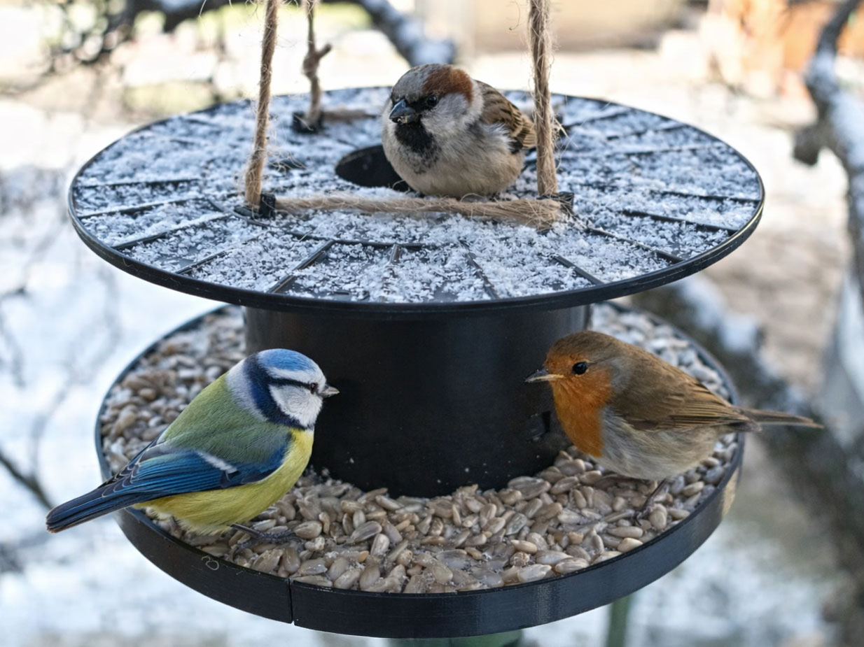 3d printed bird feeder