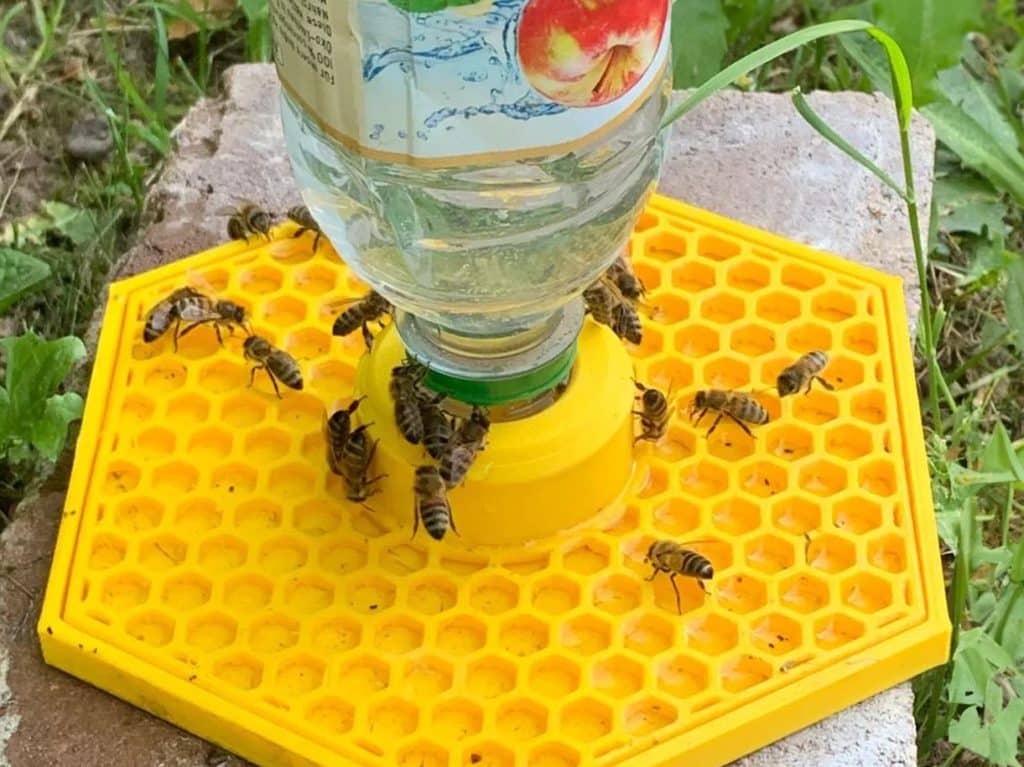 3d printed bee feeder